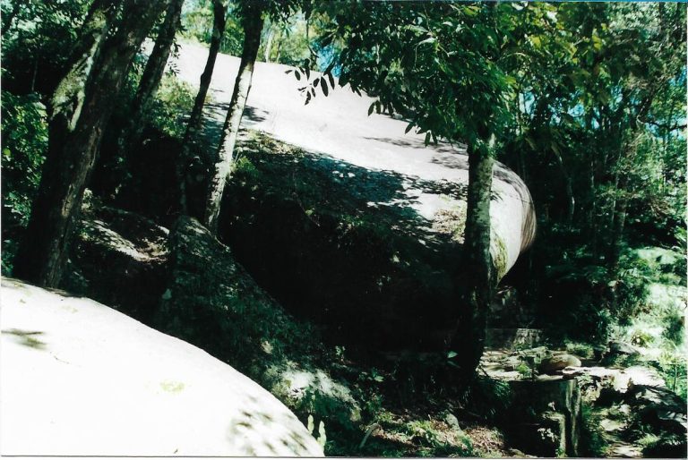 Scan6 (1)