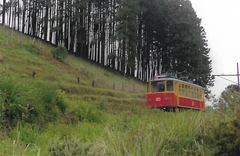 df (1)