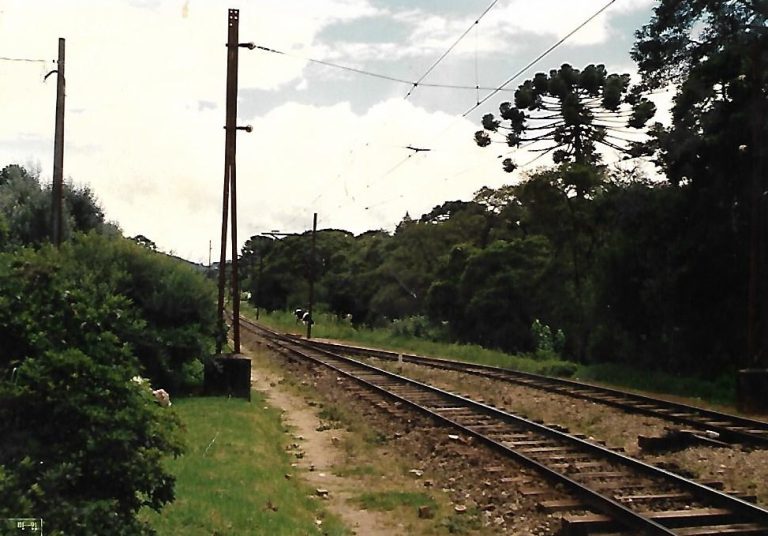 rr (1)