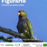 Projeto “Figurarte – Papagaio da Nossa Terra”