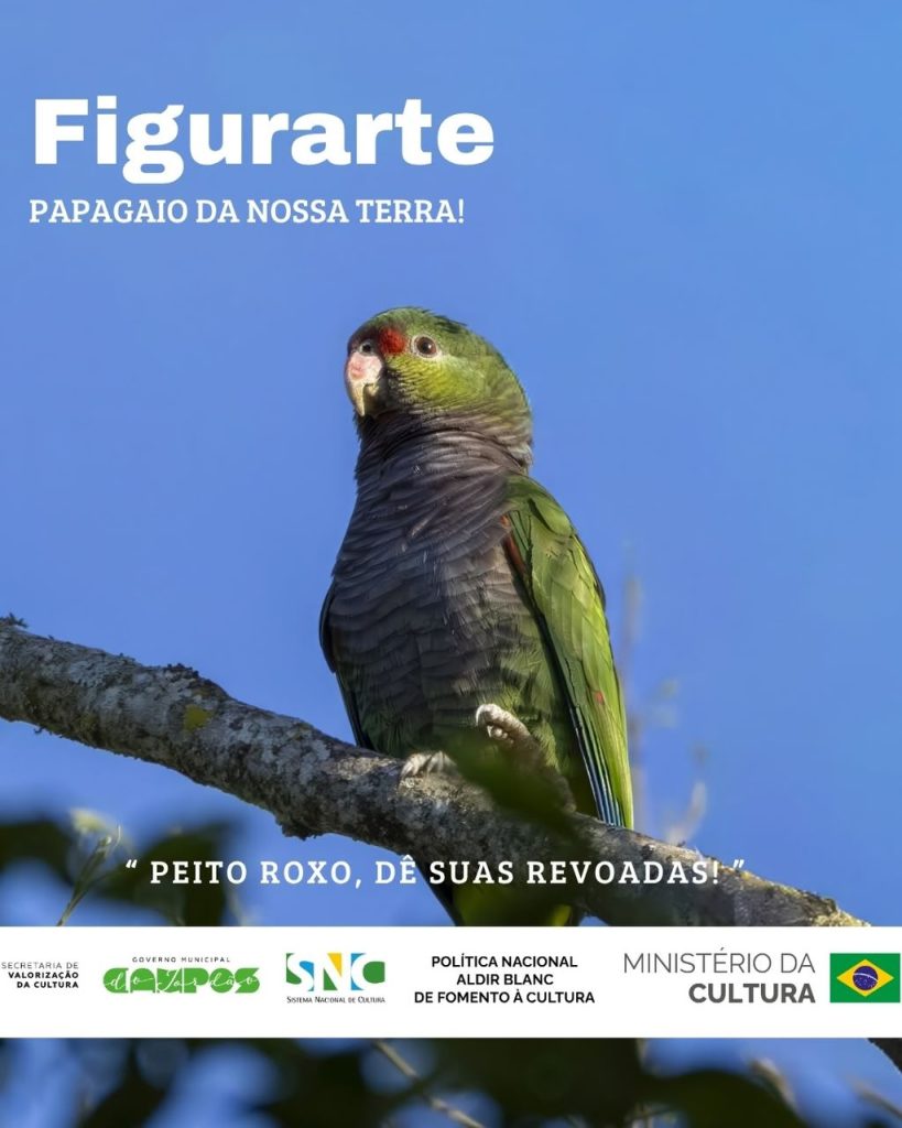 Projeto “Figurarte – Papagaio da Nossa Terra”